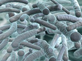 распространенные причины смерти, гипертония, давление, смерте, смерть, бог, самоубийство, слезы, грусть, печаль, смерть онлайн, дары смерти, ярость, одиночество, слеза, слезы, череп, морг, причина смерти 