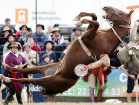 Падение с лошади, Иуда в огне и яйца на дне моря. ФОТОГАЛЕРЕЯ