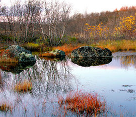 Очарование Заполярного круга 