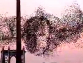 Американцы поражены: Над центром США показалось лицо Путина