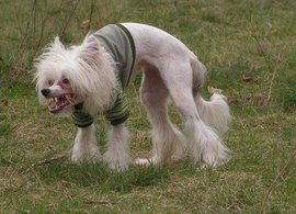 Сильно похудевшие женщины склонны к невротическим расстройствам и алкоголизму 