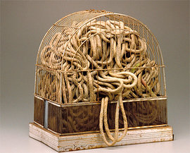 самое интересное в мире в фотографиях