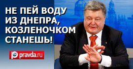 Политическая жизнь в Киеве, или Хроники из палаты номер шесть