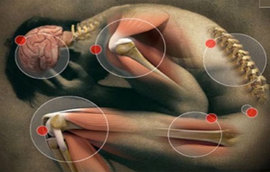 ревматизм, ревматизм симптомы, ревматизм лечние, ревматизм сставов, ревматоидный артрит, ревматолог, ревматология, атеросклероз, артрит, артроз, гипертоническая болезнь, ожирение