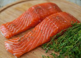 Российский лосось доплывет до прилавков — итоги пресс-конференции главы Росрыболовства Ильи Шестакова: