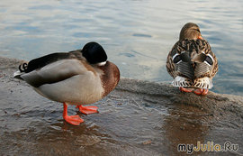 одиночество, грусть, печаль, тоска, брак, семья, проблемы. пусто, бог, смерть