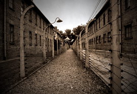 Бывший несовершеннолетний узник фашизма: Детей в концлагерях не щадили