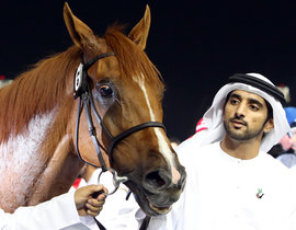 наследный принц эмирата Дубай, Хамдан ибн Мохаммед аль-Мактум 