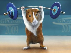 спорт, фитнес, тест, красота, мег район, тренер, упражнения, вид спорта