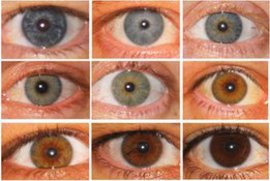 зрение, зеркало, женщина, мужчина, глаза