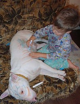 собаки, собакотерапия, отношения, США, стресс, дети, депрессия, собака - лучший друг