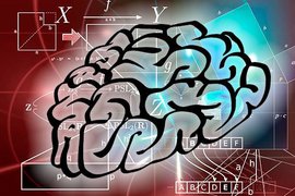 Нейробиология: Математика и интуиция связаны