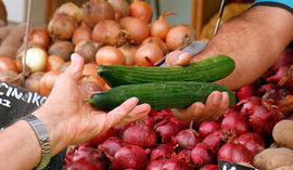 Торговым сетям запретят заниматься импортом продовольствия