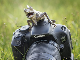 фотоаппарат