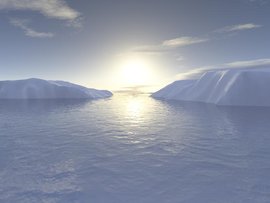 В чем сила Арктики? Рассказывает директор Центра социального развития российского Севера Вера Сморчкова.