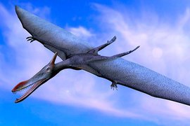 птеродактиль