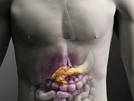 поджелудочная