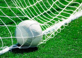 мяч в воротах