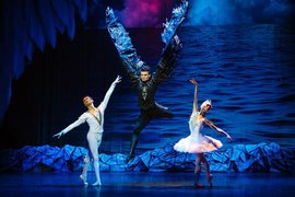 "Лебединое озеро" откроет 15-е Летние балетные сезоны в Москве