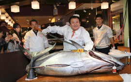 Тунец, Япония