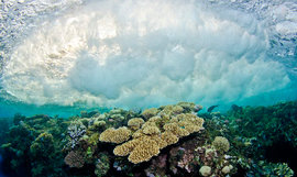 В Бермудском треугольнике всплыло загадочное судно