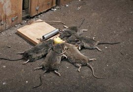 Почему людям важны социальные связи