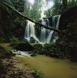 Дикая природа Австралии