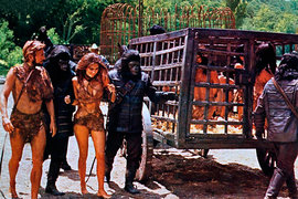 Планета обезьян