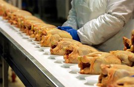 Турция и Аргентина считают российские санкции "счастливой возможностью"