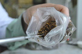 В Москве задержали торговцев спайсами. Но сколько их ещё?