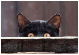 беременность, дети, число детей в семье, сколько детей рожать, семья, приметы