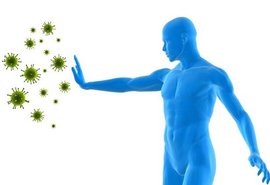  укрепить иммунитет